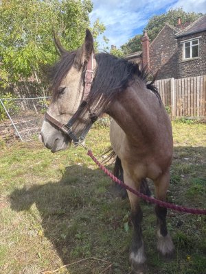 IMG_5661.jpeg IMG_5661.jpeg