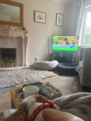 IMG_5686.jpeg IMG_5686.jpeg