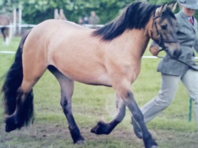 IMG_20221217_111924_kindlephoto-510477.jpg IMG_20221217_111924_kindlephoto-510477.jpg