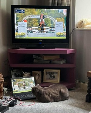 IMG_1743.jpeg IMG_1743.jpeg