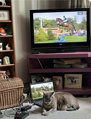 IMG_1744.jpeg IMG_1744.jpeg