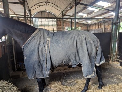 Resize_20250921_175454_4883.jpg Resize_20250921_175454_4883.jpg