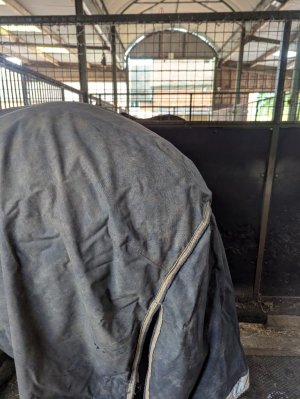 Resize_20250921_175455_5169.jpg Resize_20250921_175455_5169.jpg