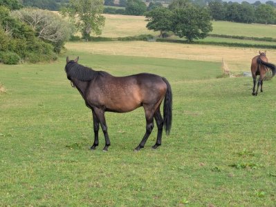 Resize_20250921_180200_0479.jpg Resize_20250921_180200_0479.jpg