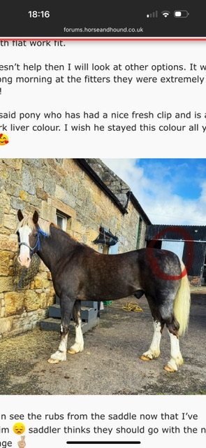 IMG_3321.jpeg IMG_3321.jpeg