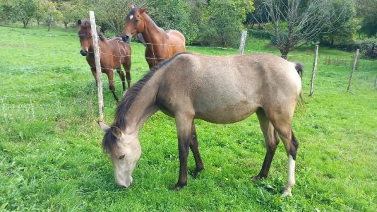 20250920_135359.jpg 20250920_135359.jpg