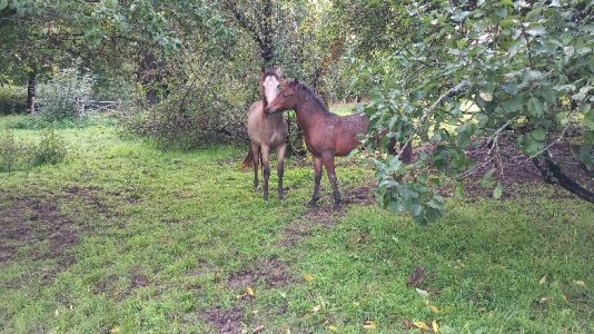 20250921_185448.jpg 20250921_185448.jpg