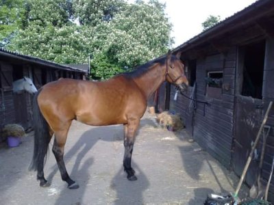 1000000960.jpg 1000000960.jpg