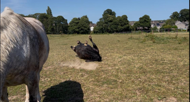 1758623266590.png 1758623266590.png