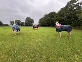 1758623291394.png 1758623291394.png