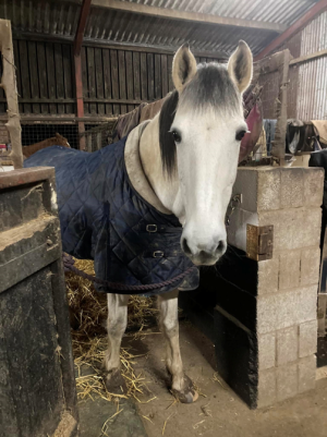 1758713378805.png 1758713378805.png