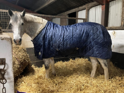 1758713411509.png 1758713411509.png