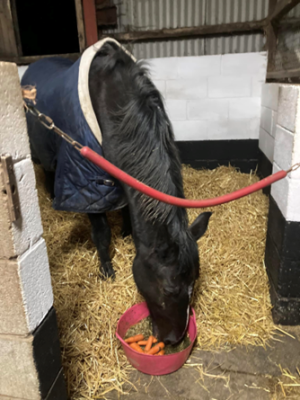 1758713449579.png 1758713449579.png