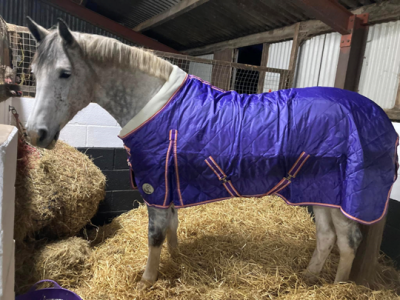 1758713550667.png 1758713550667.png