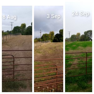 InCollage_20250924_161444447.jpg InCollage_20250924_161444447.jpg