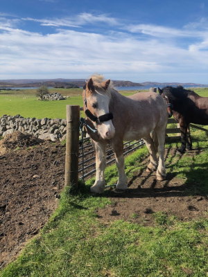 1758892260670.png 1758892260670.png