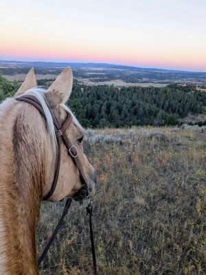 PXL_20250926_005018690.jpg PXL_20250926_005018690.jpg