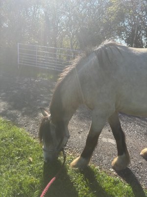 IMG_5703.jpeg IMG_5703.jpeg