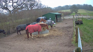 IMG_3841.png IMG_3841.png