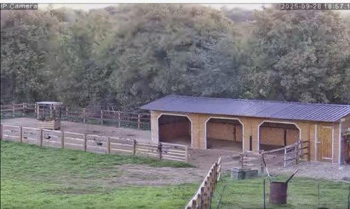 IMG_3337.jpeg IMG_3337.jpeg