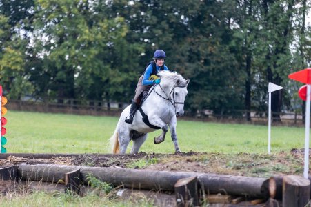 556828180_10231215933405651_3739024823791097817_n.jpg 556828180_10231215933405651_3739024823791097817_n.jpg