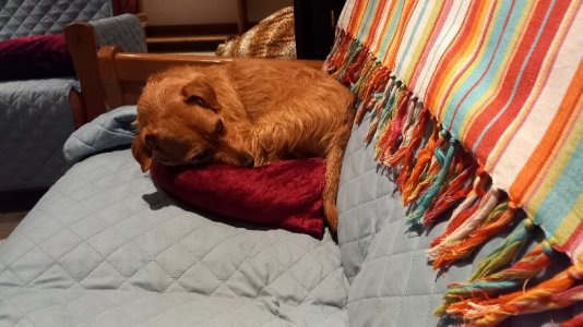 20250928_225023.jpg 20250928_225023.jpg