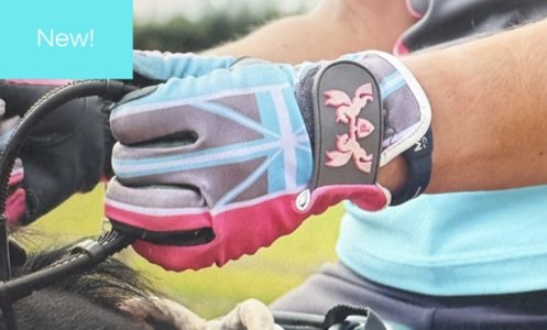 IMG_2867.jpeg IMG_2867.jpeg