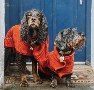 IMG_9879.jpeg IMG_9879.jpeg