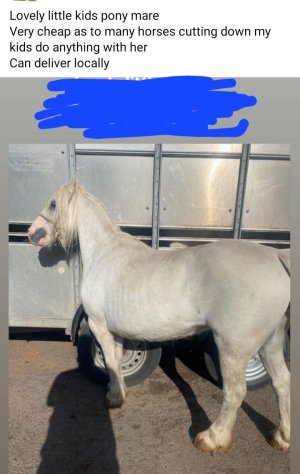 IMG_5741.jpeg IMG_5741.jpeg