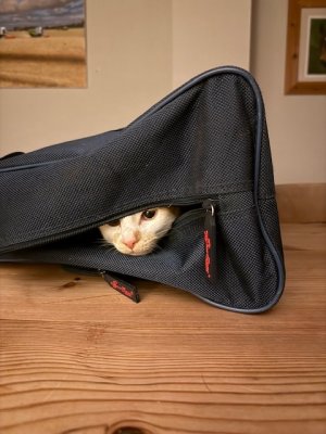 IMG_3563.jpeg IMG_3563.jpeg