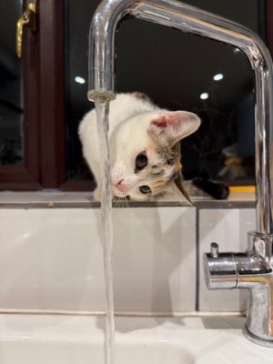 IMG_3569.jpeg IMG_3569.jpeg