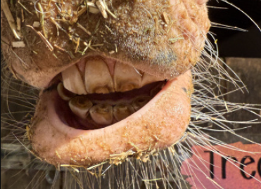 1759354559203.png 1759354559203.png