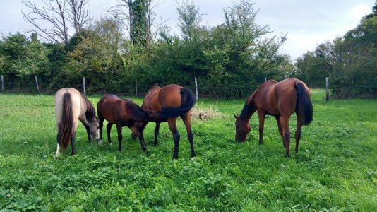 20250927_115929.jpg 20250927_115929.jpg