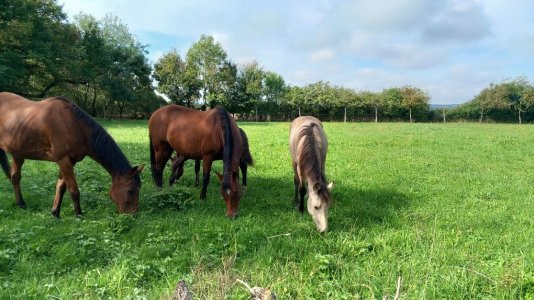 20250927_120005.jpg 20250927_120005.jpg