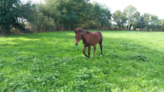 20250927_120031.jpg 20250927_120031.jpg