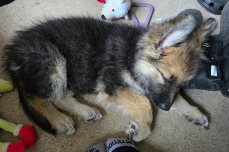 Screenshot_20251003_115803_Photos.jpg Screenshot_20251003_115803_Photos.jpg