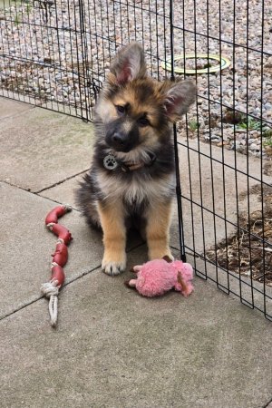 Screenshot_20251003_115621_Photos.jpg Screenshot_20251003_115621_Photos.jpg