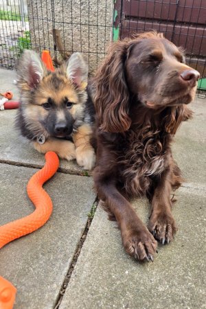 Screenshot_20251003_115727_Photos.jpg Screenshot_20251003_115727_Photos.jpg