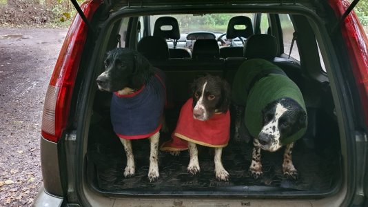 IMG_0950.jpeg IMG_0950.jpeg