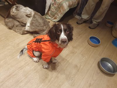 IMG_1835.jpeg IMG_1835.jpeg