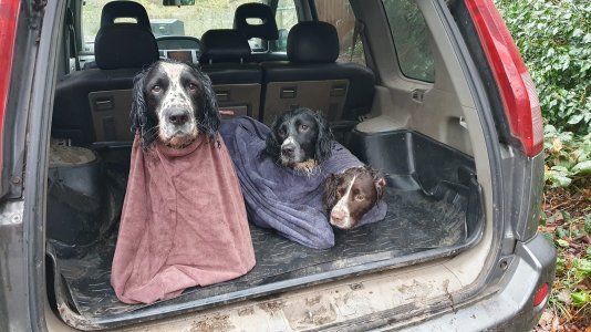 IMG_1080.jpeg IMG_1080.jpeg