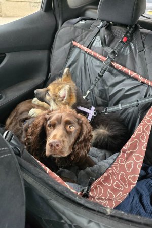 Screenshot_20251004_142401_Photos.jpg Screenshot_20251004_142401_Photos.jpg