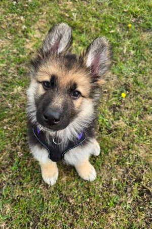 Screenshot_20251004_142410_Photos.jpg Screenshot_20251004_142410_Photos.jpg