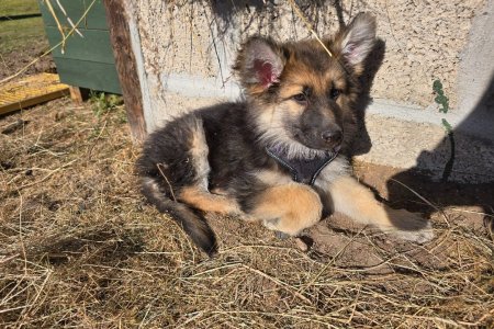 Screenshot_20251004_142437_Photos.jpg Screenshot_20251004_142437_Photos.jpg