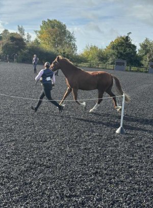 1000013454.jpg 1000013454.jpg