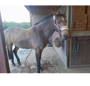 Screenshot_20251008_204213_Photos.jpg Screenshot_20251008_204213_Photos.jpg