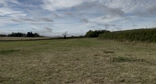 IMG_7952.jpeg IMG_7952.jpeg