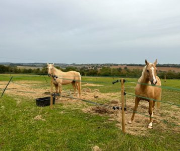 IMG_9866.jpeg IMG_9866.jpeg