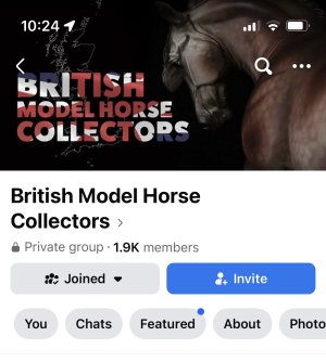 IMG_3151.jpeg IMG_3151.jpeg