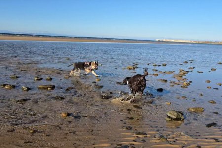 Screenshot_20251015_163953_Photos.jpg Screenshot_20251015_163953_Photos.jpg